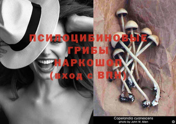 Альфа ПВП Верхний Тагил
