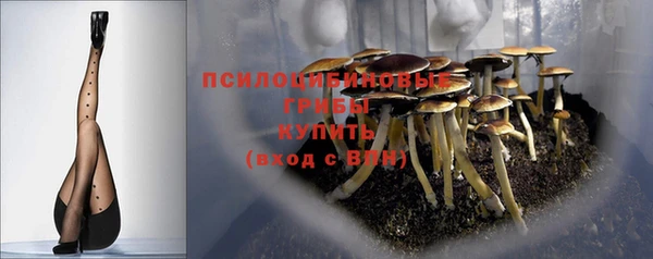 Альфа ПВП Верхний Тагил