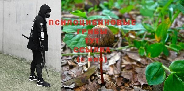 mdma Верея