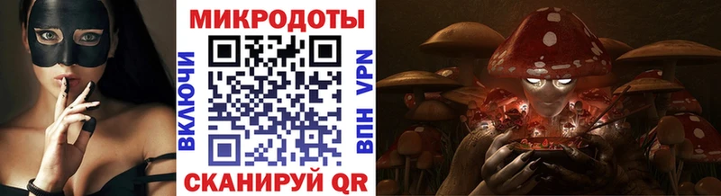 цена   Пошехонье  MEGA маркетплейс  Псилоцибиновые грибы Psilocybe 